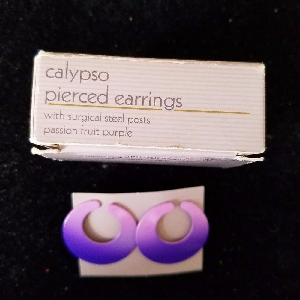 Avon Calypso Purple Open Loop Earrings Surgical Steel Posts Fashion Jewelry